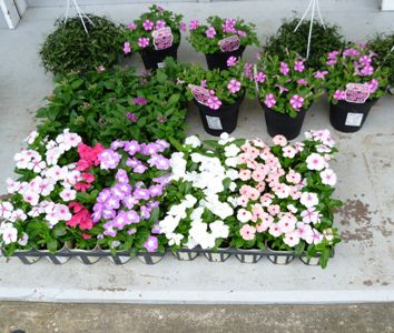 心機一転！花売り場