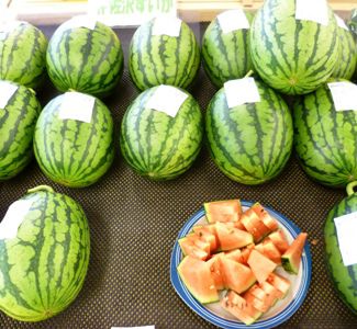 夏といえば！