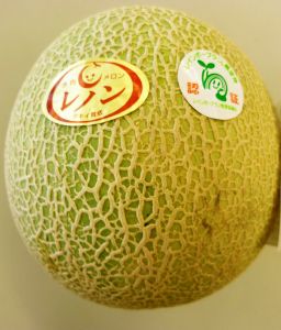 メロン登場！