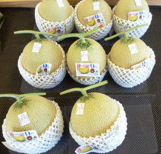 メロン入荷！
