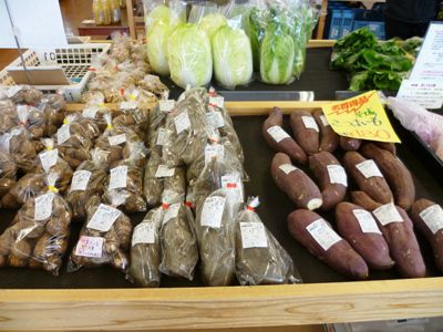 冬でも沢山！