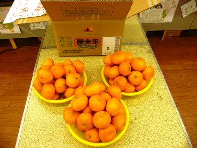 みかん特盛り！