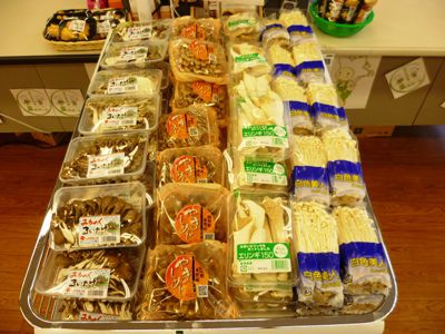 菜なポートの日！