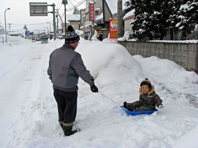 ソリでの来客