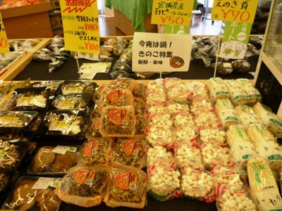 菜なポートの日！