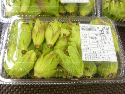 春の商品