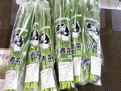 行者菜も出回りました。
