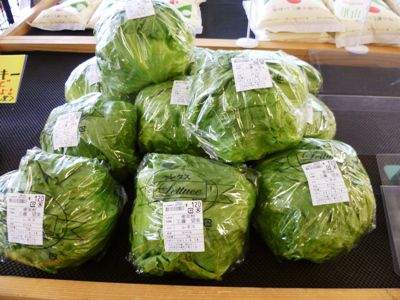 新鮮な野菜満載！