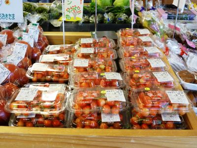待望の”さくらんぼ”登場！