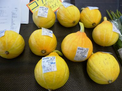 コリンキーという”かぼちゃ”