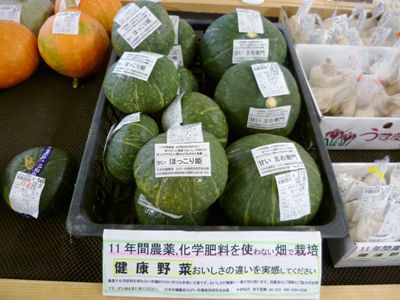秋がもうそこに！