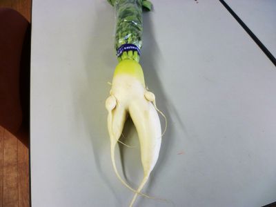 昔の風習を大切に