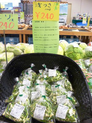 春の味を先取り！