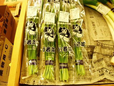 早くも行者菜を販売