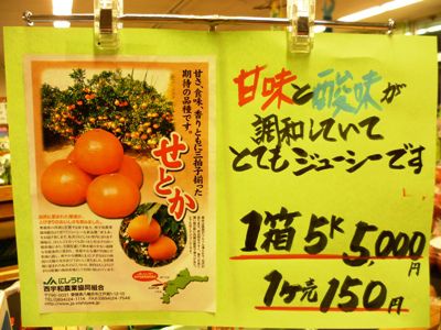 愛媛産のニューフェース　『せとかみかん』