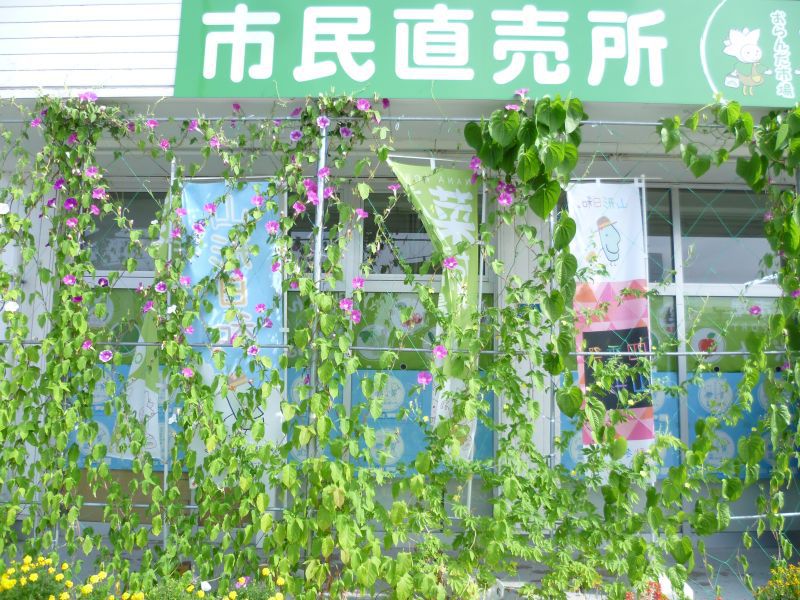 涼しい～?!