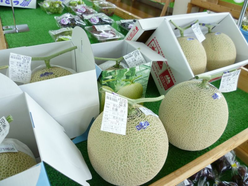 長井産『メロン』
