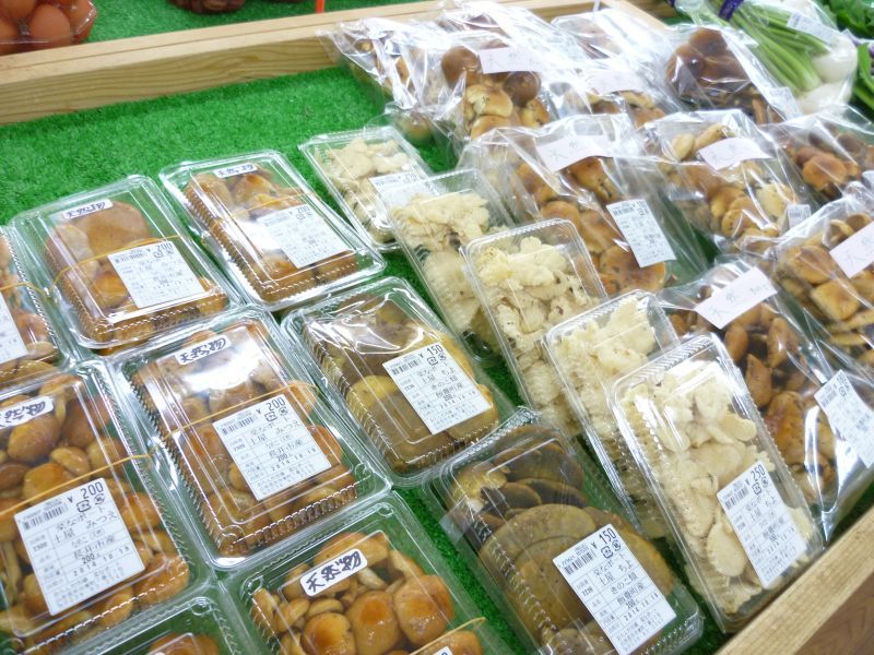 今日の『きのこ』☆