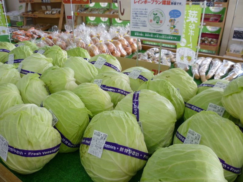 「キャベツ」入荷中♪