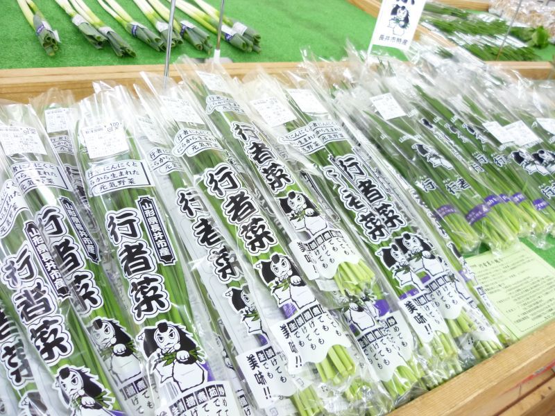 『行者菜』入荷中です☆