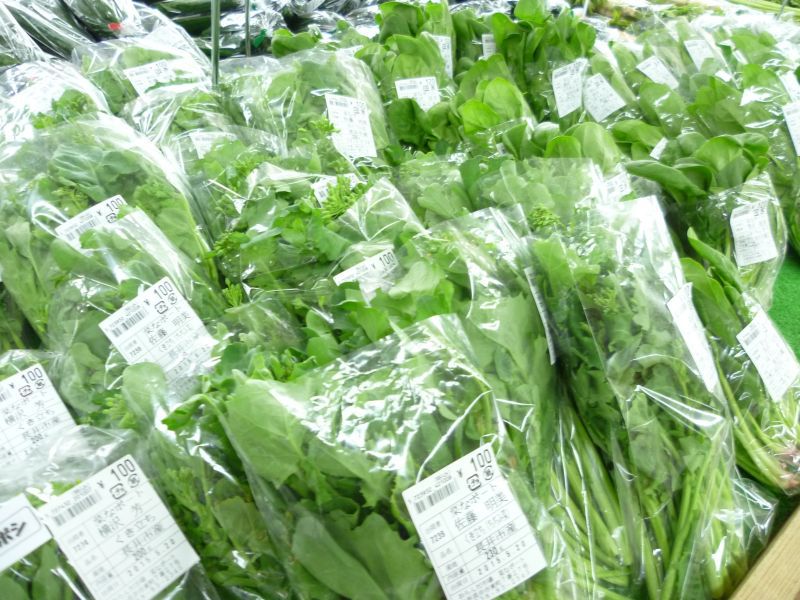今日も新鮮な野菜がいっぱいです‼