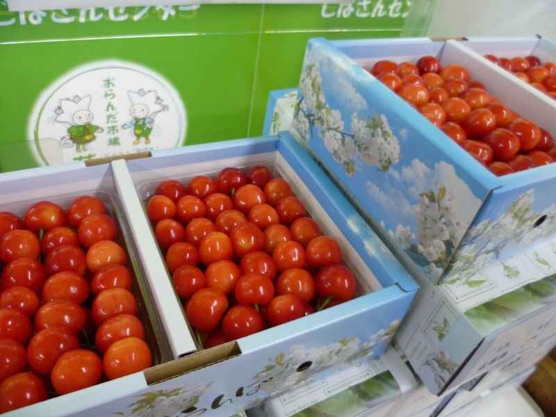 さくらんぼ☆