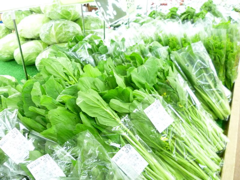 野菜も ‼