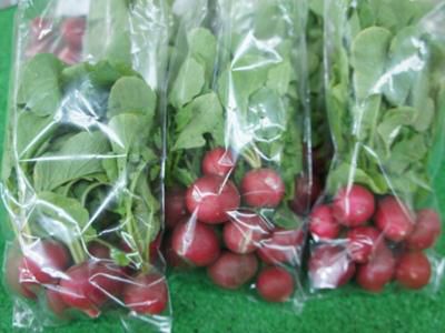 【夏物野菜が出始めてます】