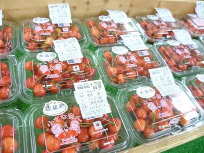 【地物「さくらんぼ」入荷しました！】