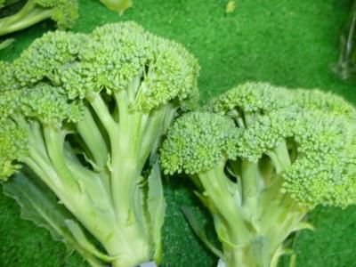 【夏野菜ぞくぞく】