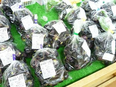 【お待たせしました！うす皮丸なすの季節です】