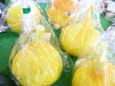 【カボチャ「コリンキー」お試しください】