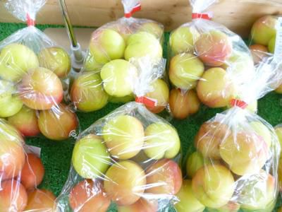 【夏野菜・漬物盛りだくさんです】