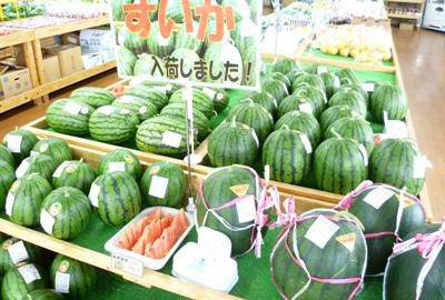 【スイカが美味しい季節です】
