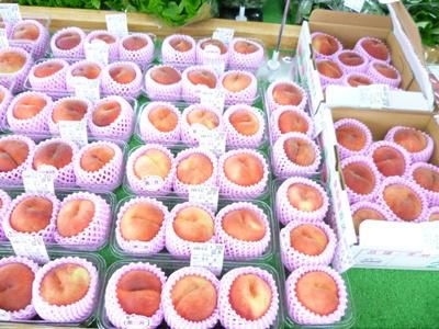 【「もも」の旬が来ました】