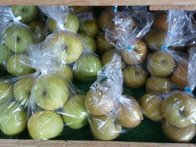 【「和なし」初入荷】
