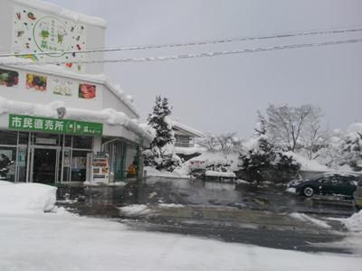 【大雪ですが】