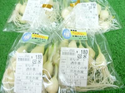 【元稀（げんき）にんにくで体力増進】