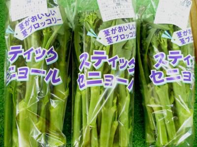 【スティックブロッコリー入荷しました】