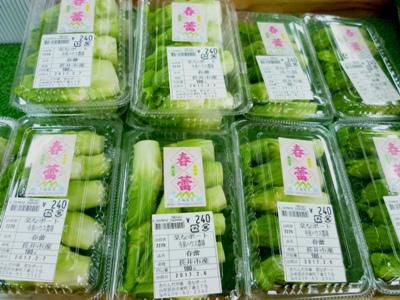 【新食感の美味しい野菜】