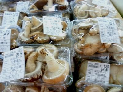 【お鍋に　原木しいたけ】