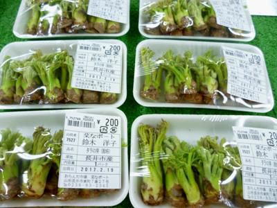 【季節の変わり目ですね】