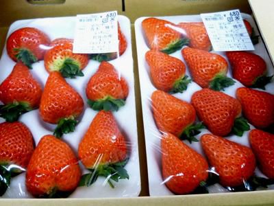 【ご贈答に、自分へのご褒美に　大粒いちご】