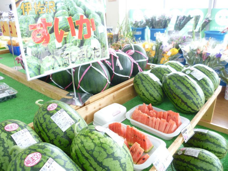 夏真っ盛り