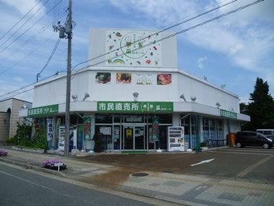 大玉スイカ入荷！