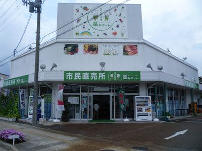ぶどう・もも入荷してます