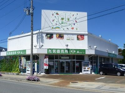 ８月後半の菜なポート