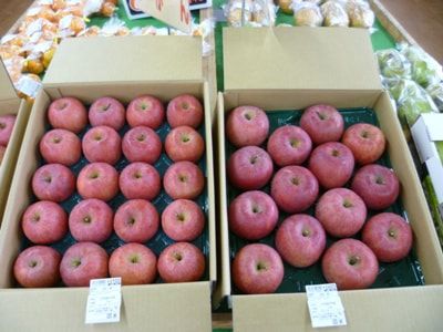 ふじりんご入荷！