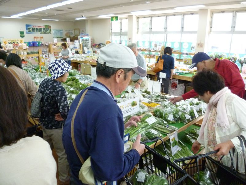 今一番の旬、山菜！