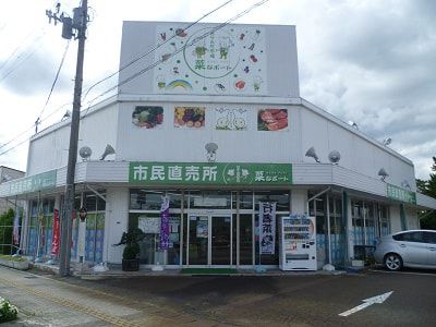 ７月の菜なポート